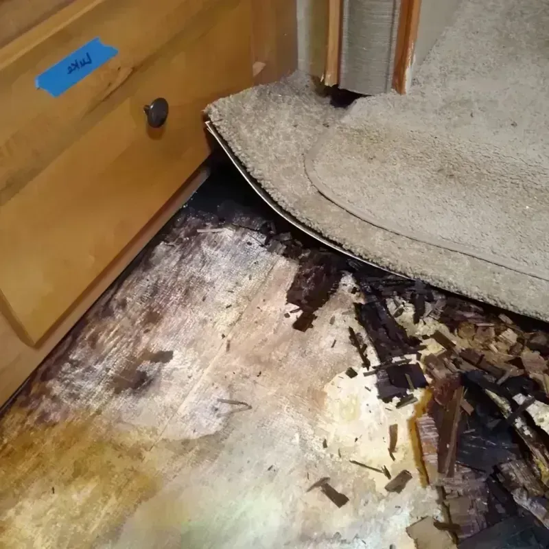 Wood Floor Water Damage in Olney, MD